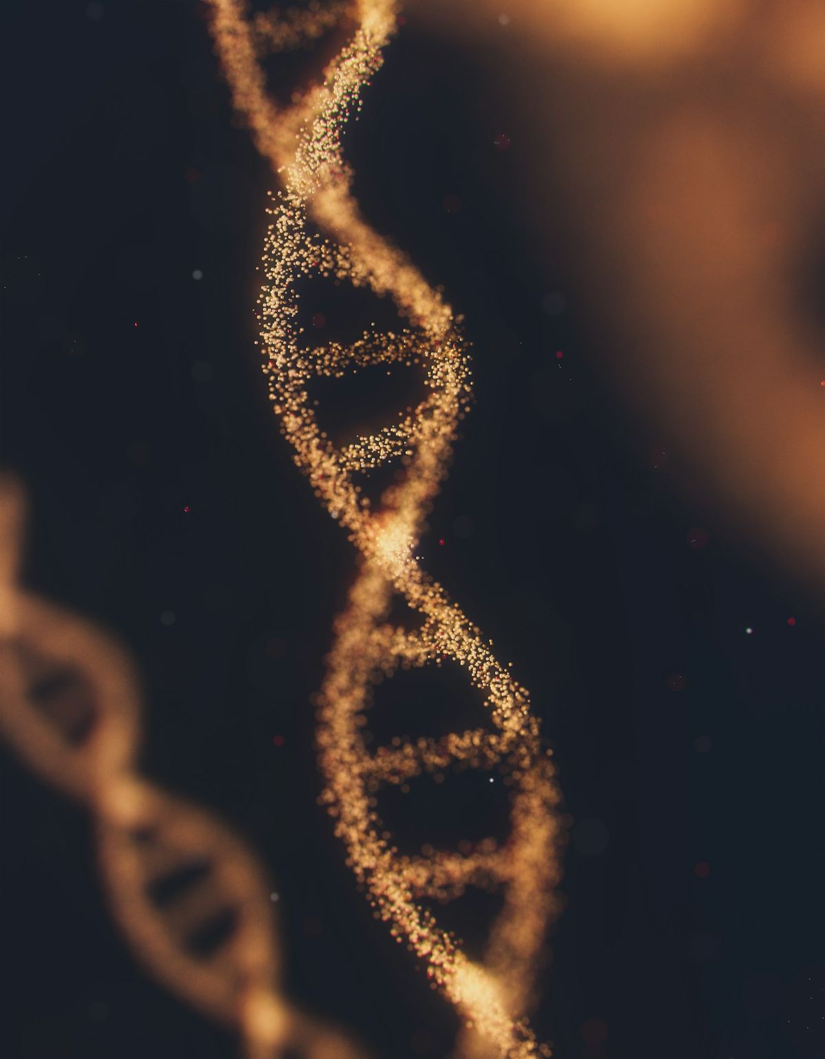 DNA-modell som illustrerer evolusjon og arv