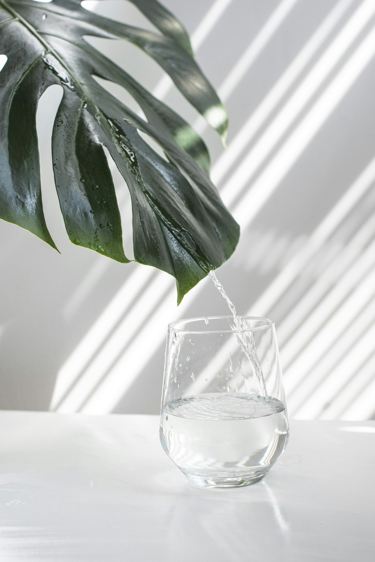 Glass som fylles med vann